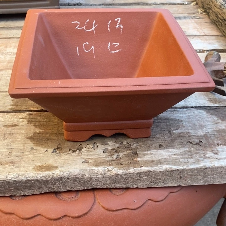 紫砂花盆我想和她做