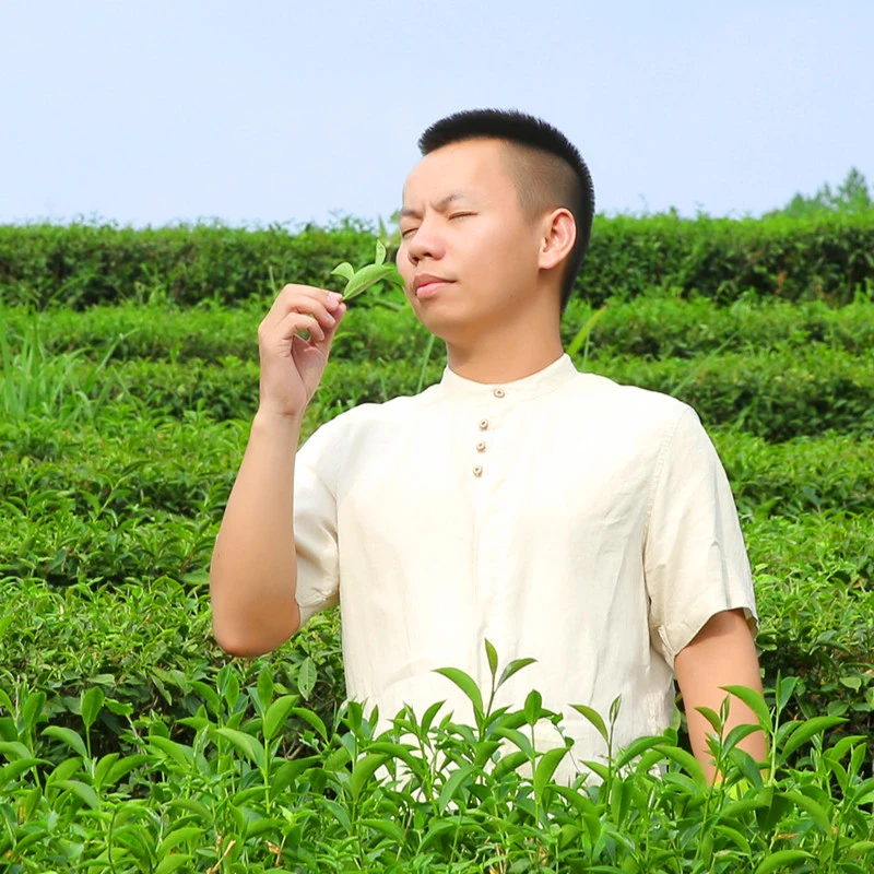 小弟铁观音清香四溢秋茶特级清香型铁观音茶叶500g礼盒装 送礼