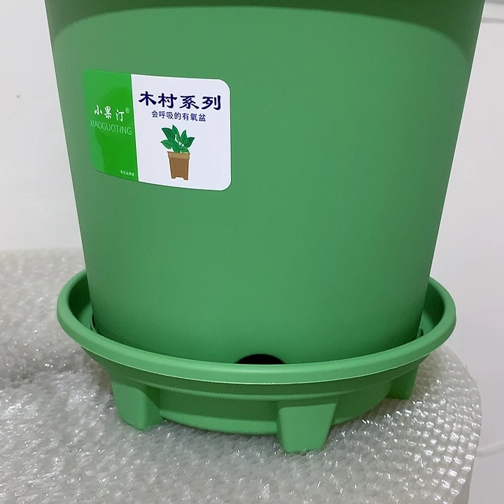 小果汀25路5个带托