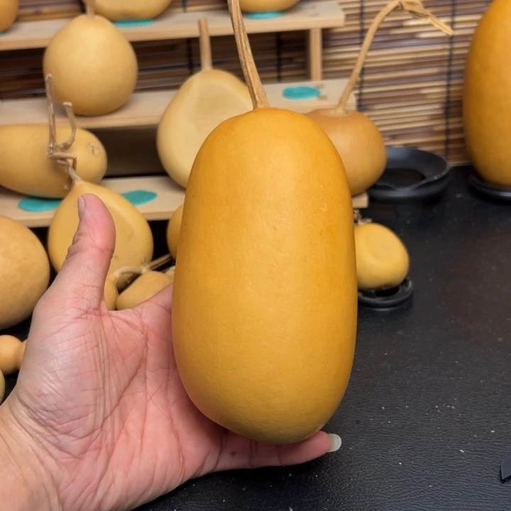 小*寻5558866666599