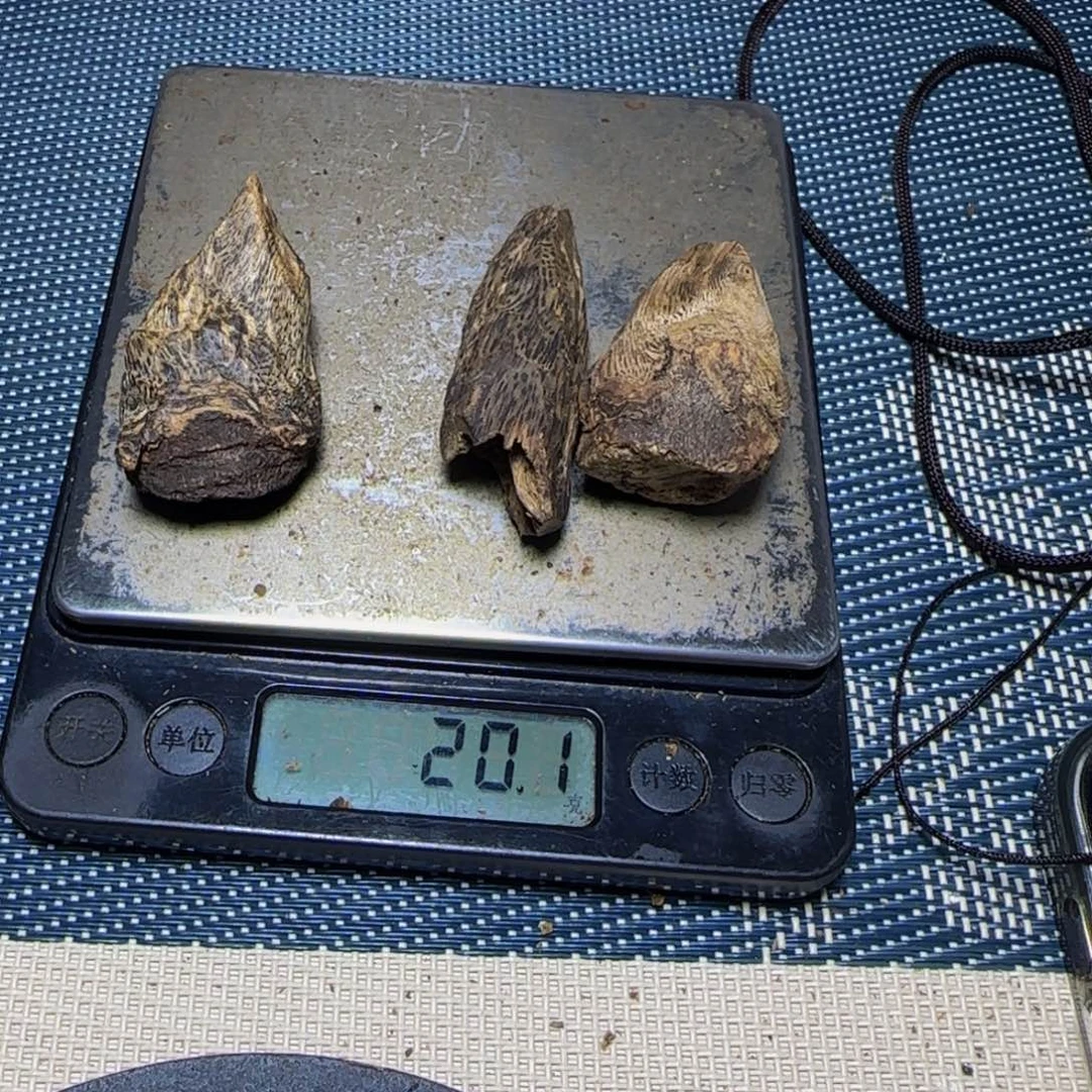 摸***咔木绿奇大树丁3个20克。
