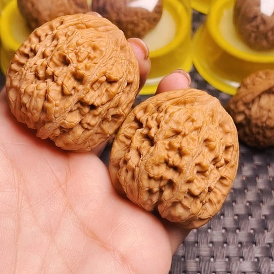 龙*文玩核桃粗筋蚂蚁王