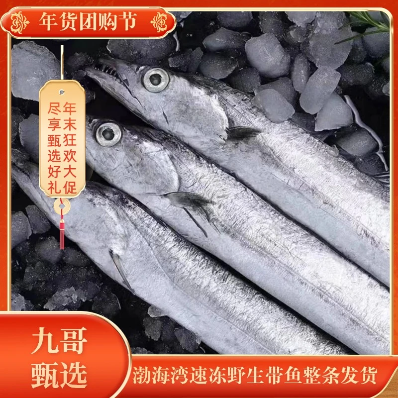 渤海湾速冻野生带鱼整条发货小眼睛本地带鱼味道鲜美拍5斤送4斤