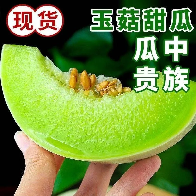 正宗玉菇甜瓜冰淇淋新鲜当季蜜瓜软糯香甜现摘现发