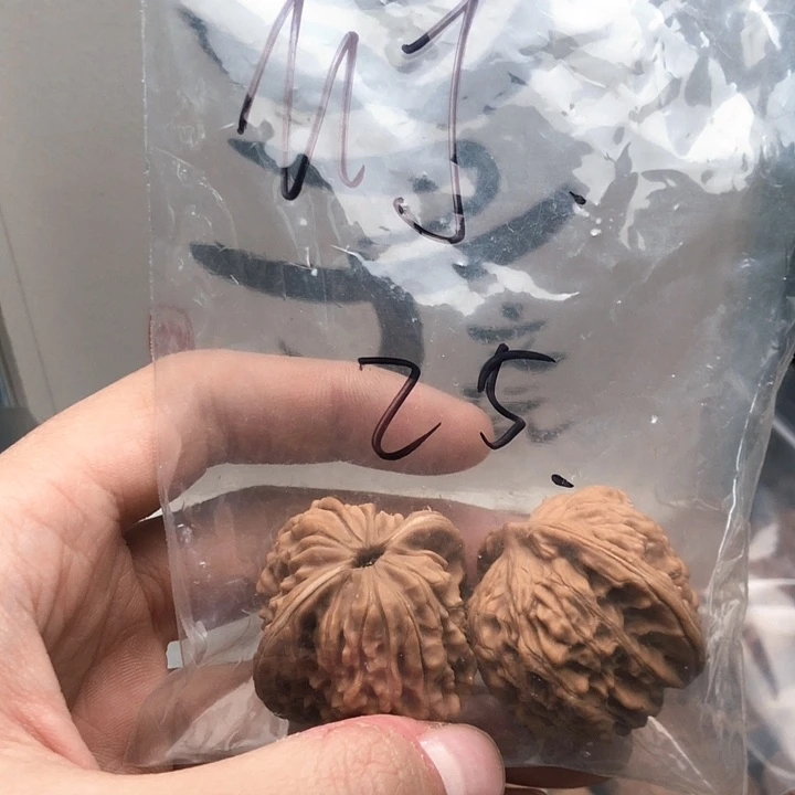 桃核吊坠M****g676776767676776