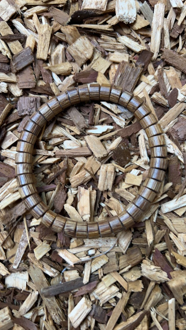 沉香x7 福莱精选高端文玩