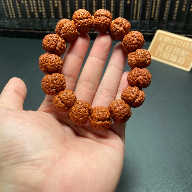 新品满肉梅花大金刚(2号)