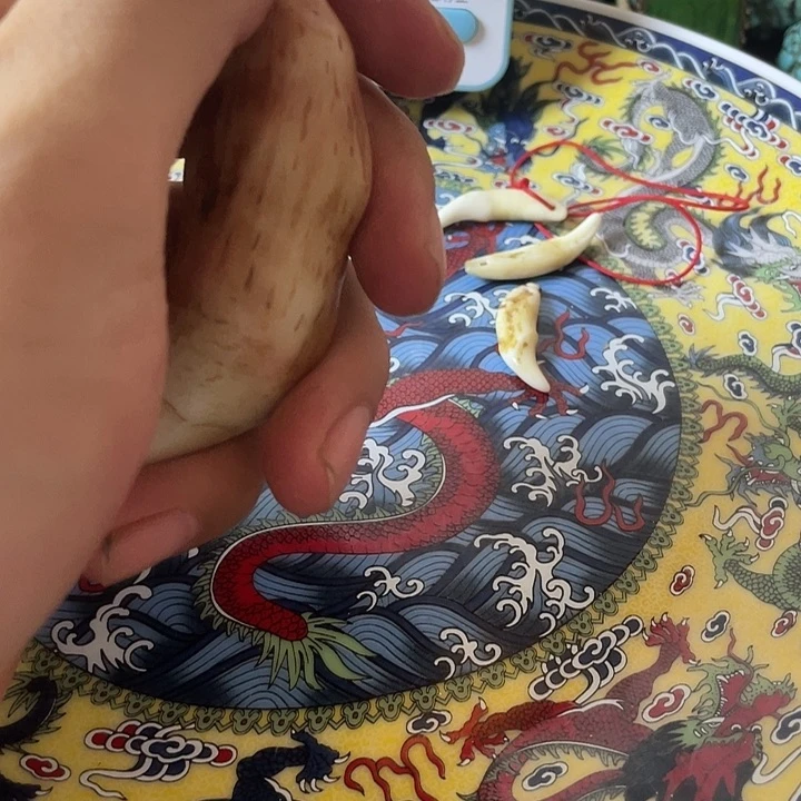 健健康康快快乐乐