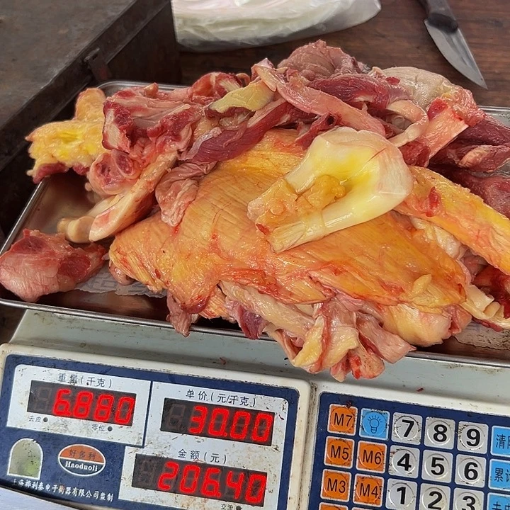 广西土耕马马肉、沙姜炒马肉中国大陆