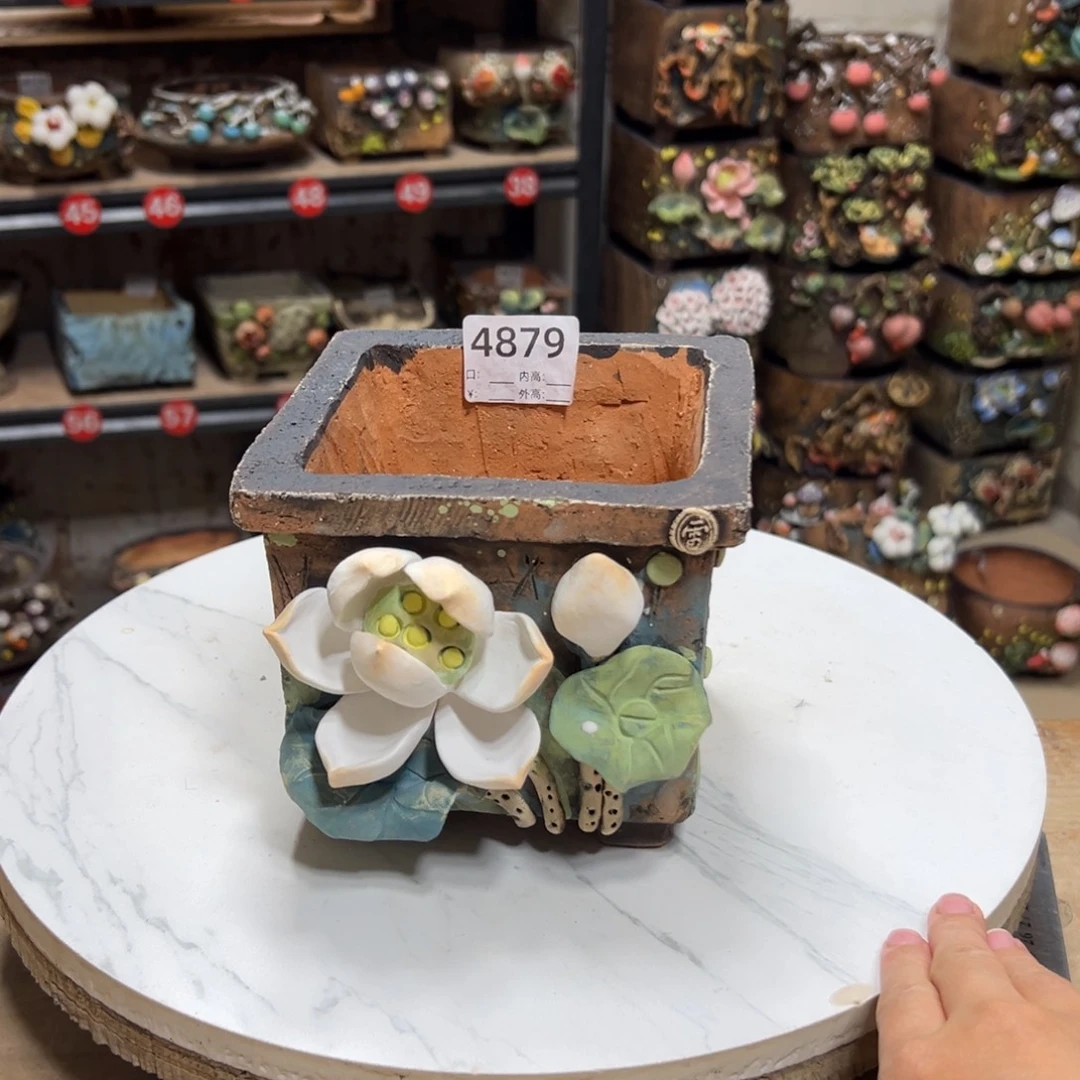 猫***-4879号，口11外高12