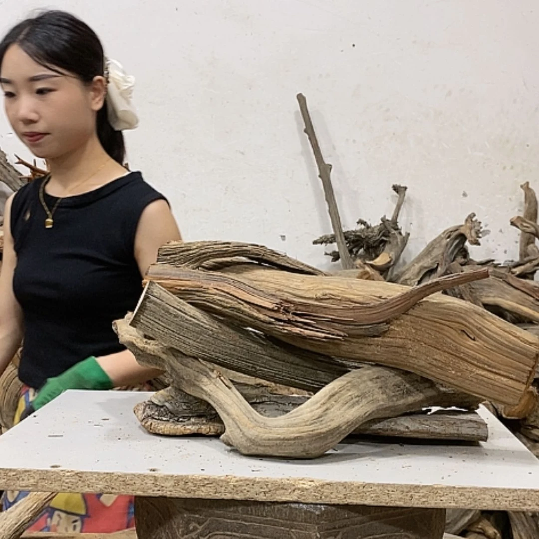 【闪购商品】柏木?***?我们都是好孩子