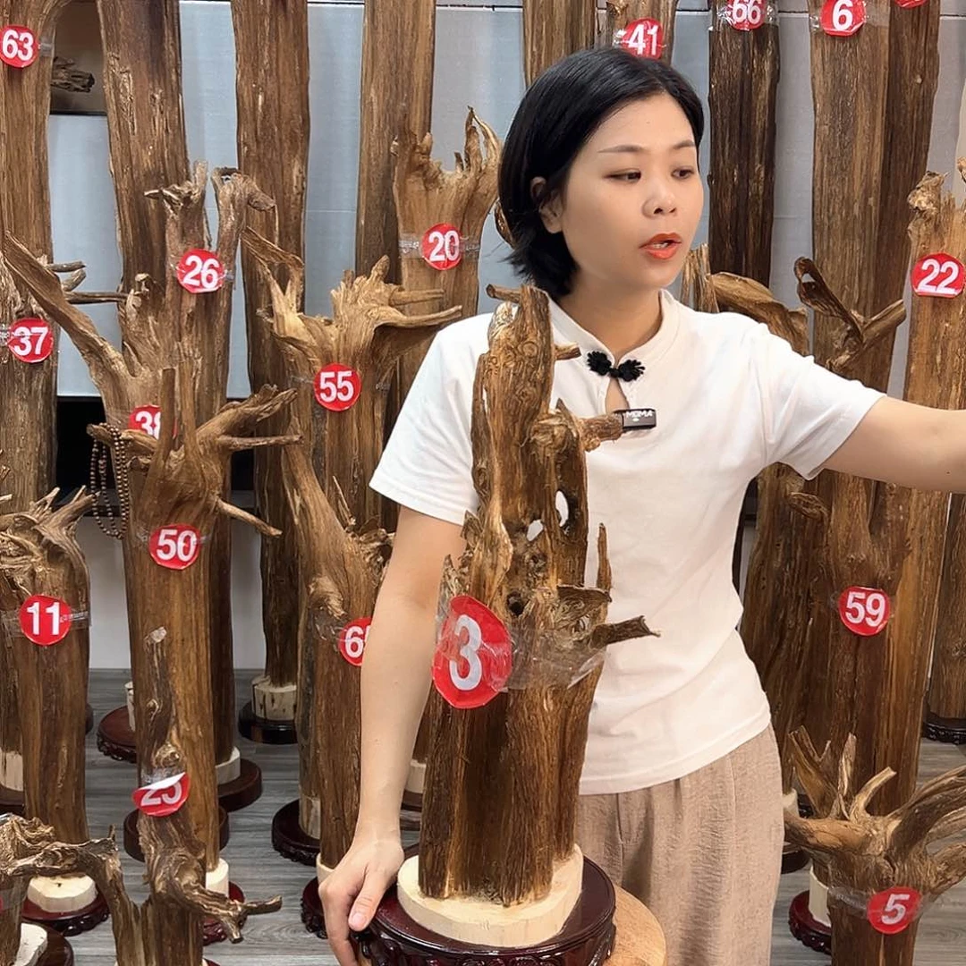 沉香碎屑沉香沉香碎屑