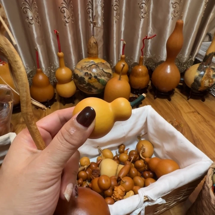 金***娃精品店等多项经营管理业务