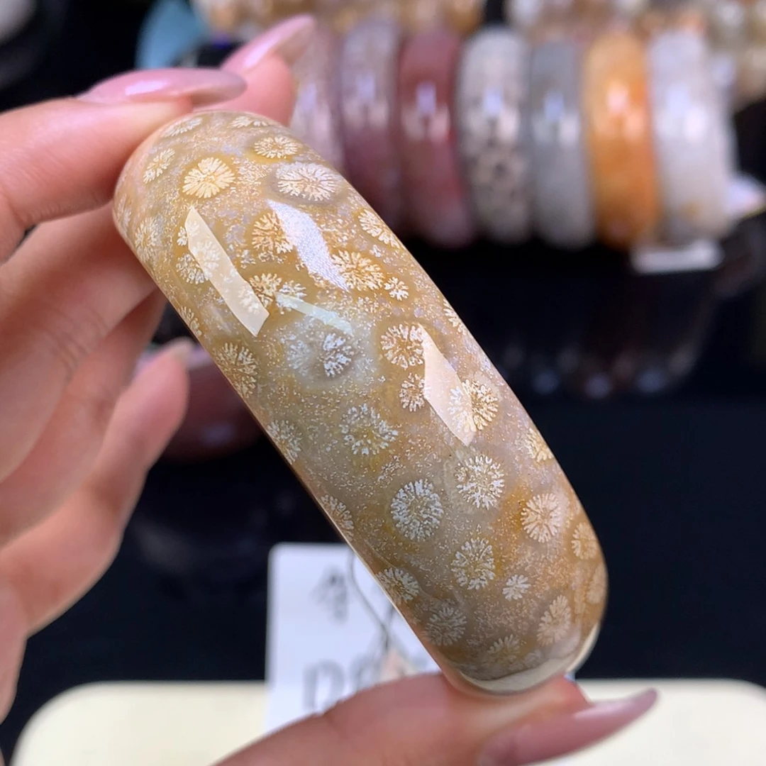 【闪购商品】颈饰未镶嵌硅化珊瑚（珊瑚玉）15号链接62.7圈