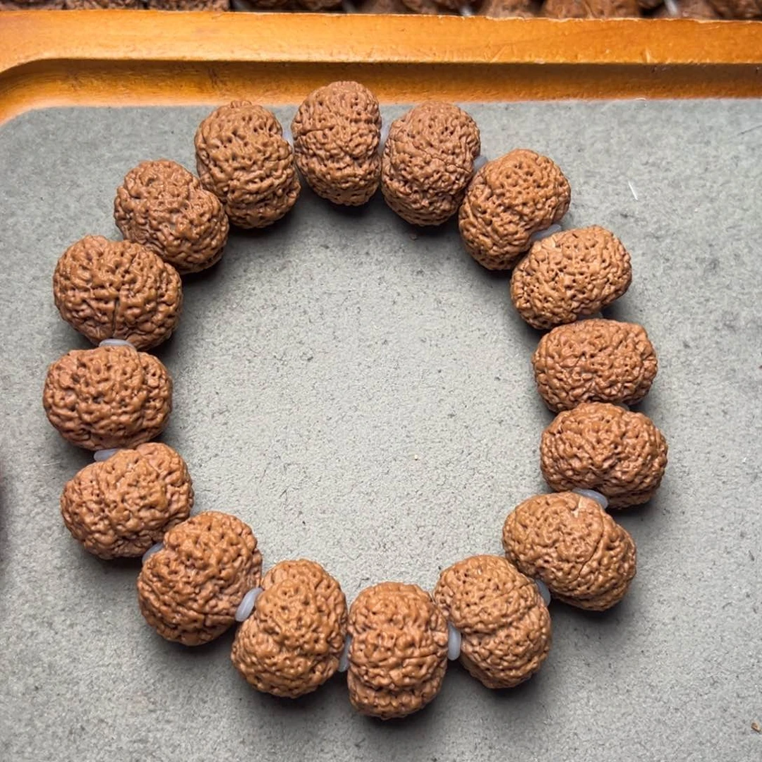 菩提23号金刚菩提夹板菠萝蜜21+