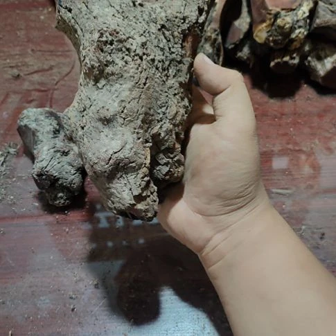 突***突核桃木/黑胡桃（胡桃木）