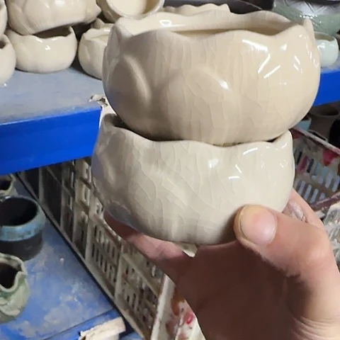···2个处理······
