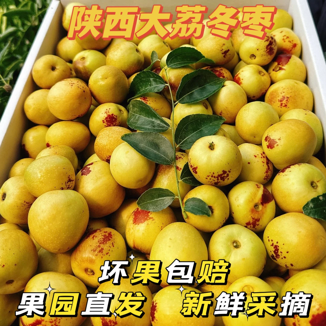 正宗陕西大荔冰糖冬枣现摘现发当季新鲜脆甜多汁水果【顺丰包邮】