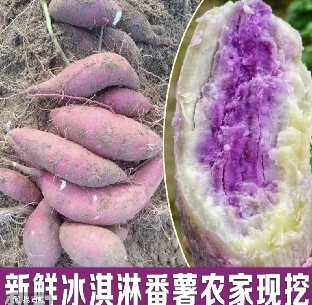 广东沙地冰淇淋红薯一点红番薯粉糯香甜新鲜挖净重发货2/5/9斤