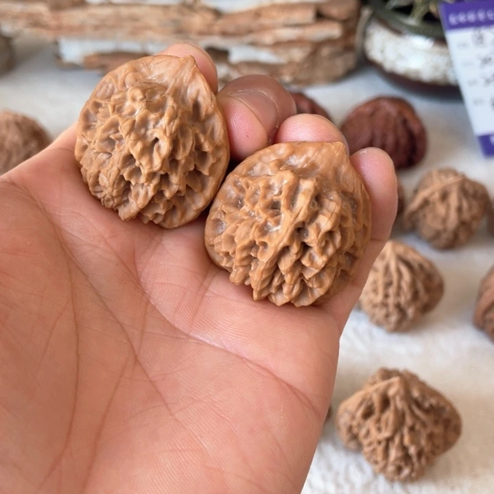 核桃其他敢*秦岭核桃秦闷