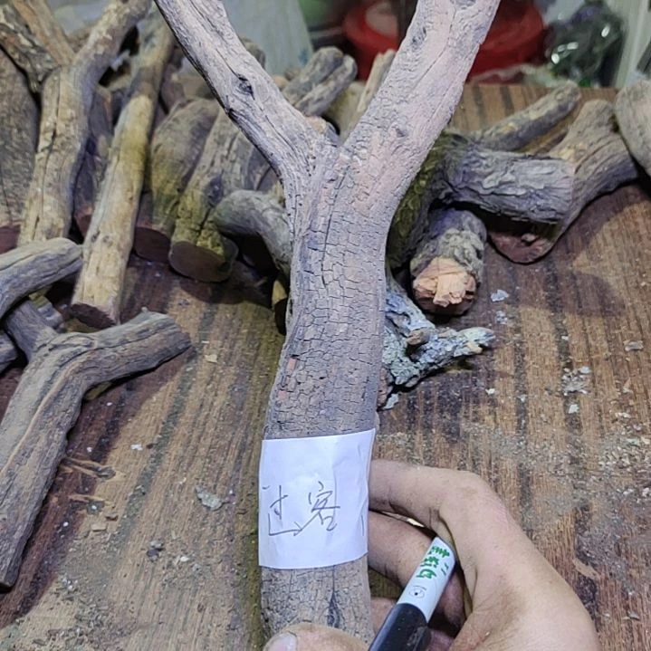 过***客火琉璃原杈不保沉水慎拍！