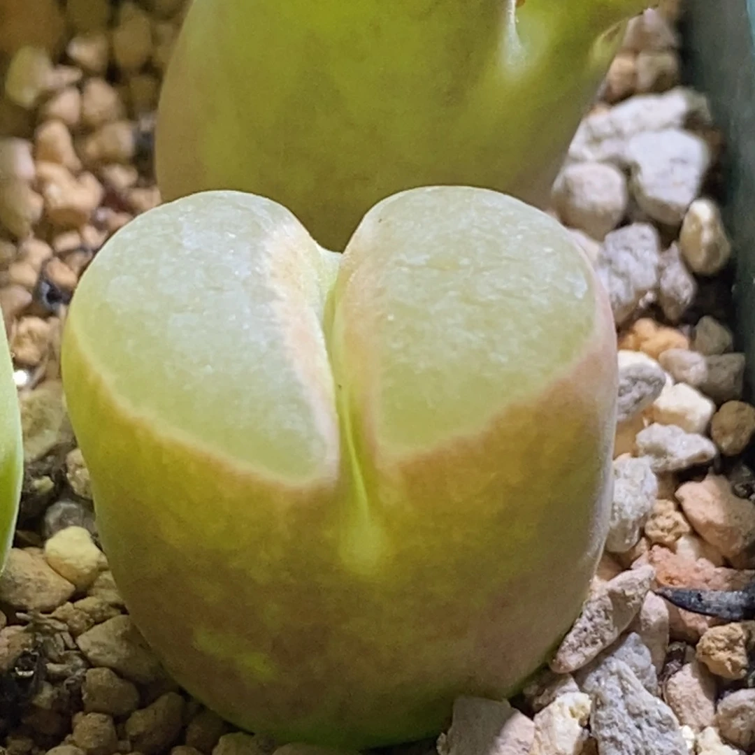 好看好看的1802.83