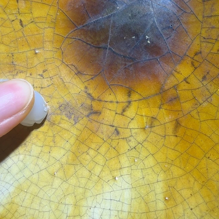 二***可摆件新人直播福利多多