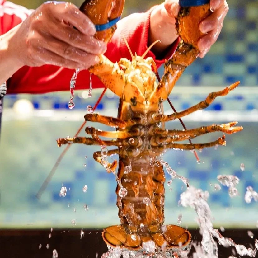 大波龙（280/斤）按实际斤数计算