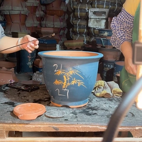 紫砂花盆金钟兰色
