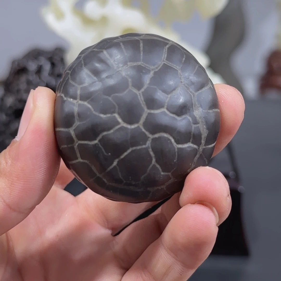 老***妇石材龟文石把玩111