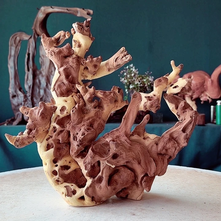 黑果木老*507金丝红木羊蹄甲半成品