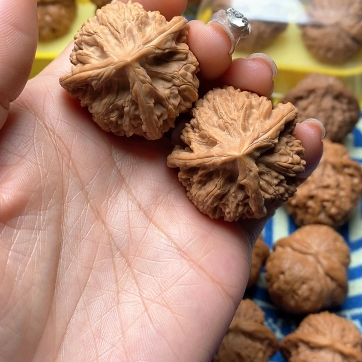 吊坠桃核御龙粗筋35