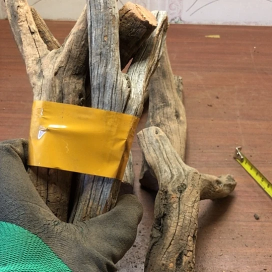 大果紫檀（缅甸花梨）繁*·