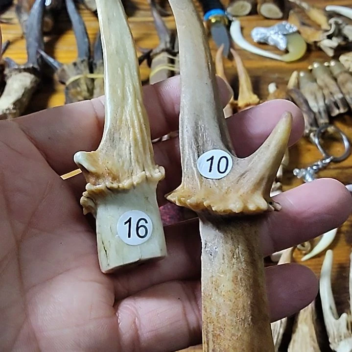 鸿乐堂直播间选货手把件