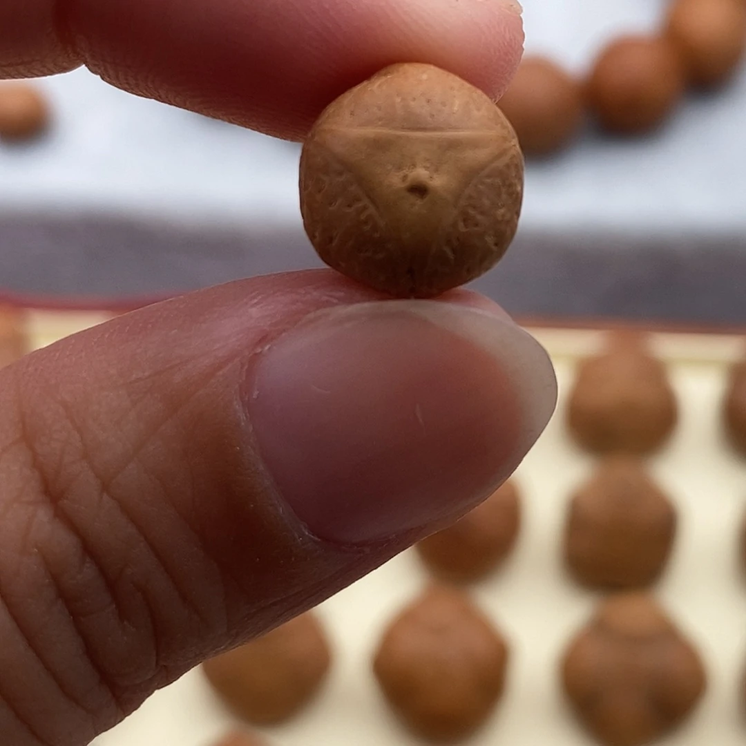 飞***肉凤眼菩提吊坠龙眼