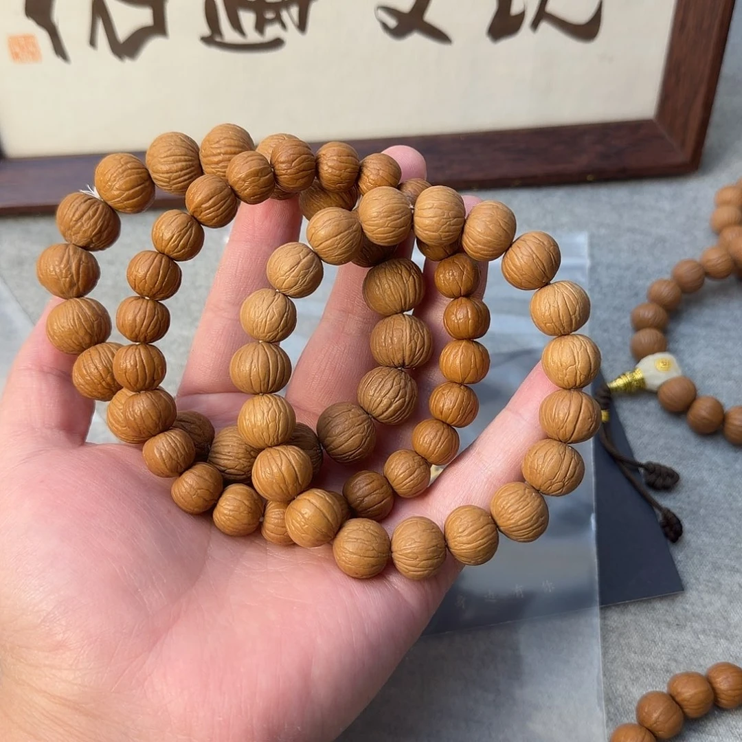 双鳍小南瓜 土豪 风羽三条一起