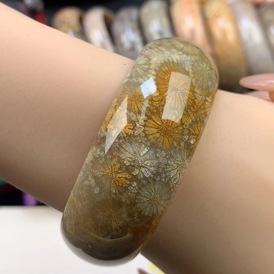 【闪购商品】颈饰未镶嵌硅化珊瑚（珊瑚玉）9 号 53.8  可扩2个圈