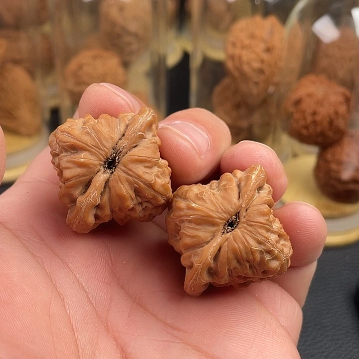 34头货正桩白蛇谷精品