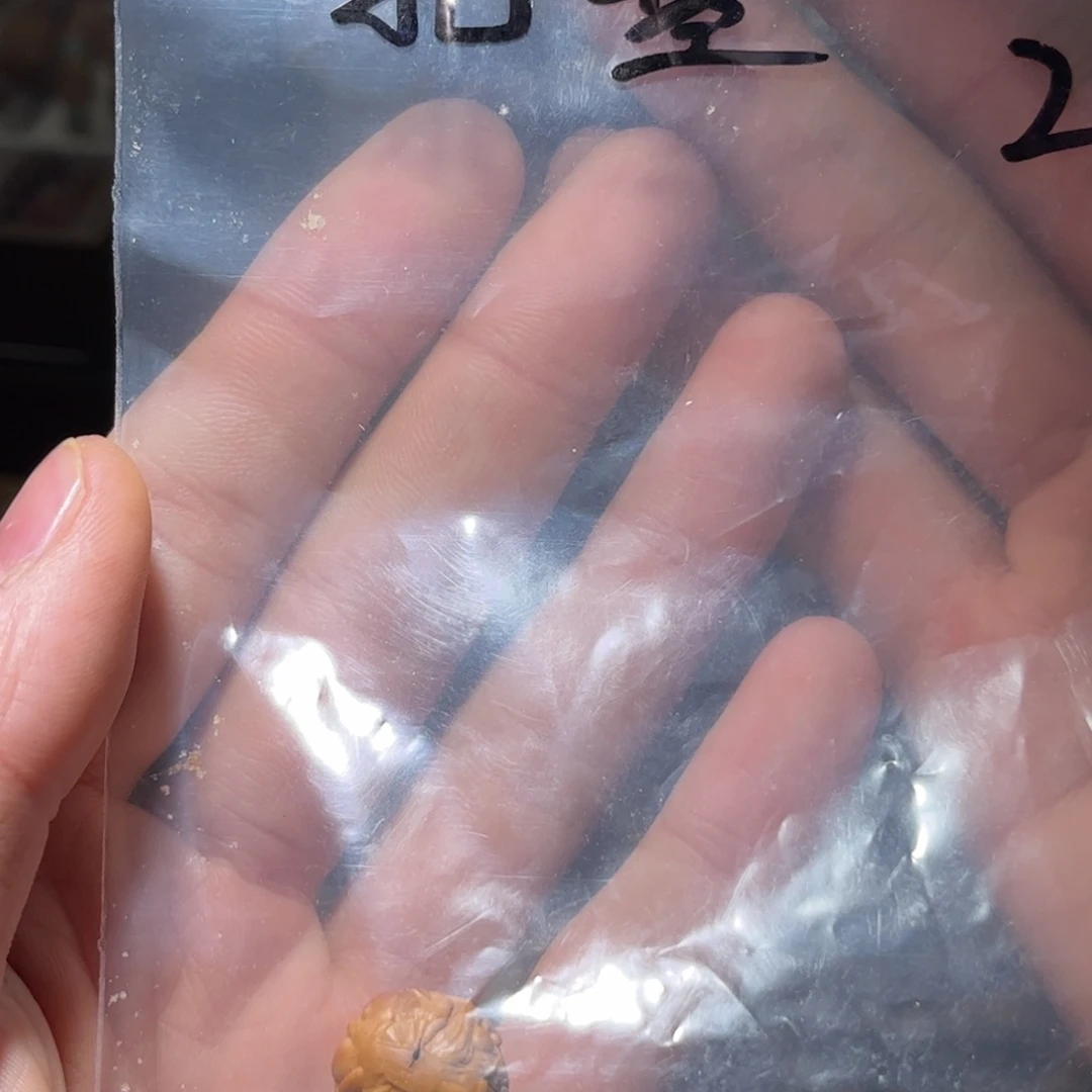 °***。吊坠猴头核桃扎吉拉姆