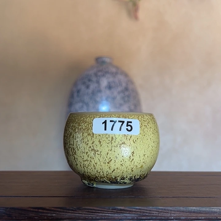 雪***珍罐1775000000000000