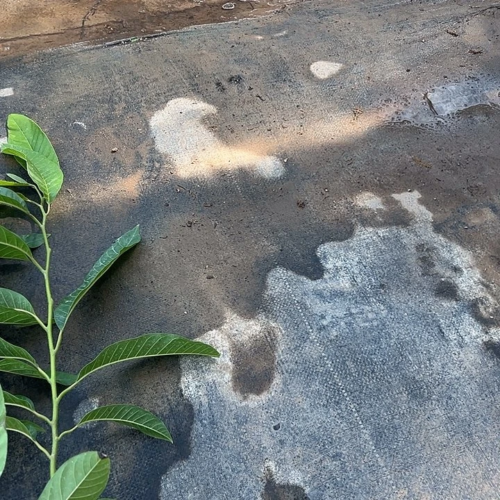 秋***叶天使2597478865455