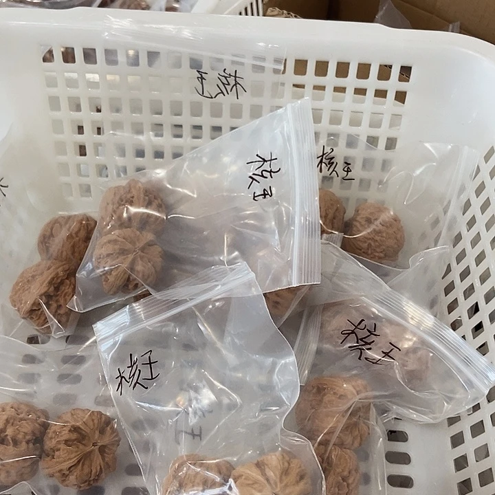 吊坠文玩核桃核王瑕疵
