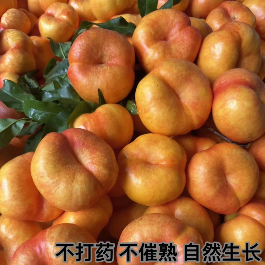 （助农）2025黄金油蟠桃新鲜水果黄心油桃脆桃扁桃蟠桃油桃孕妇桃