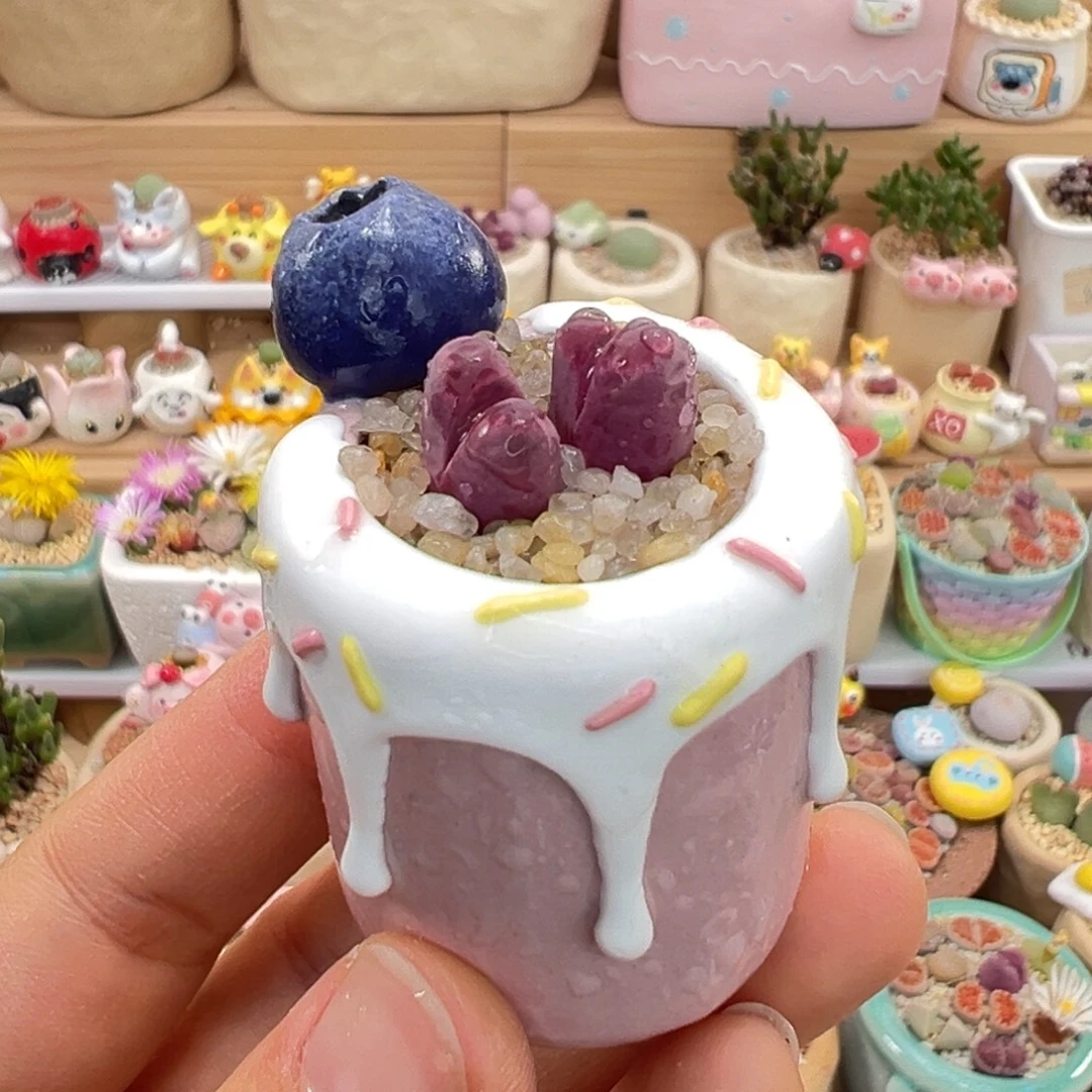 多肉植物55号红大内