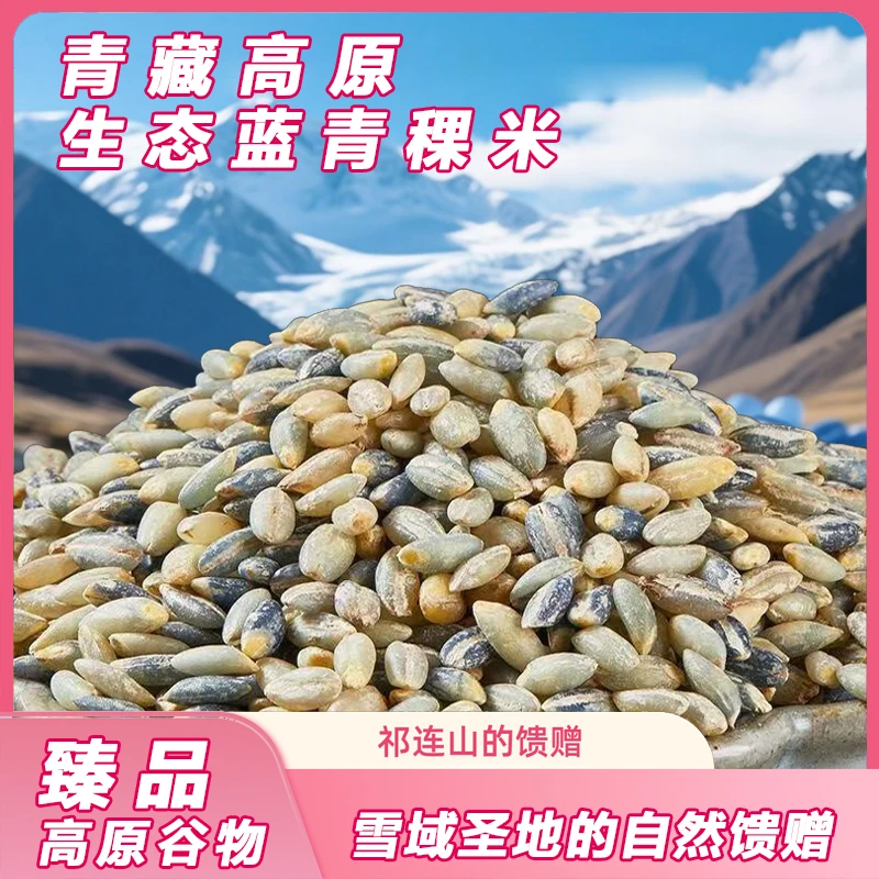 高原【蓝青稞米】青藏高原优质产区优选五谷粗粮养生低脂可煮粥焖饭