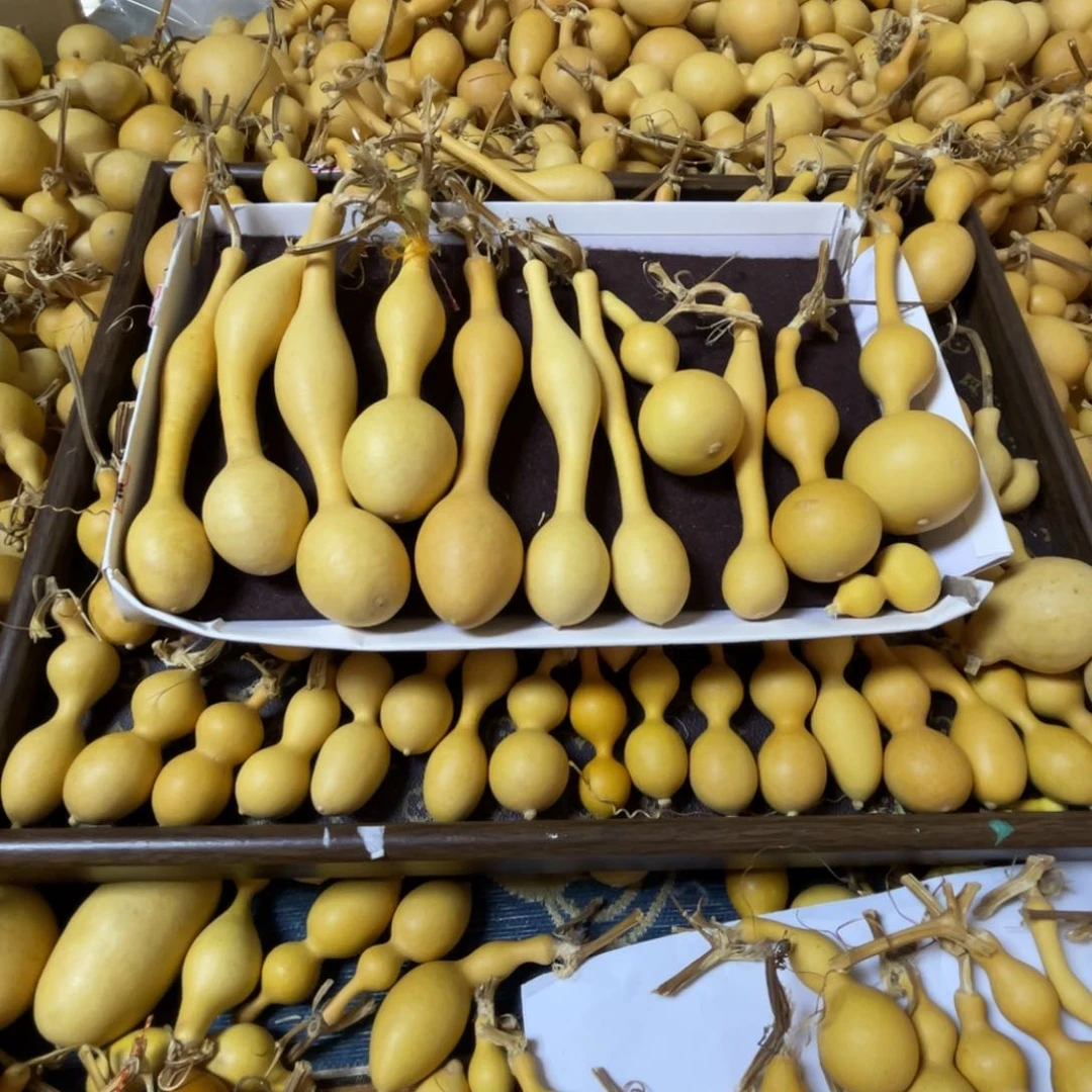 月*花花我想去了呜呜好漂亮