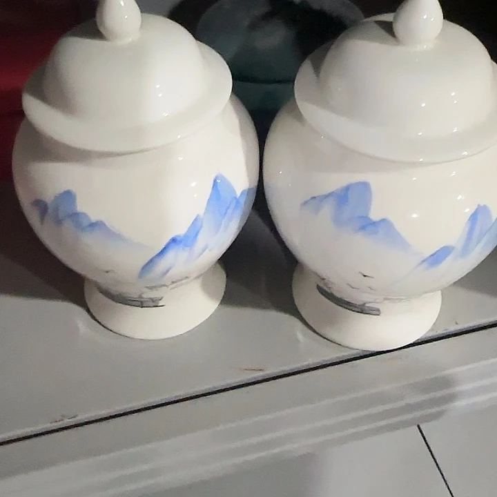 茶叶罐储物罐密封罐！