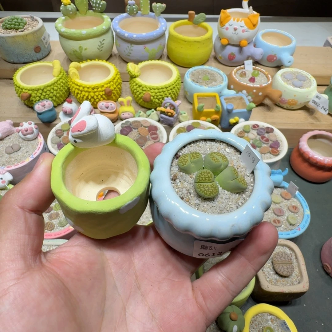 胖*蘑菇306绿孔雀绿孔雀