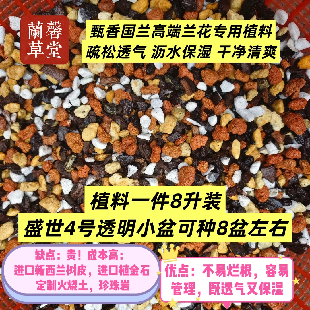疏松透气沥水保湿不烂根的兰花专用土管理简单轻松养兰