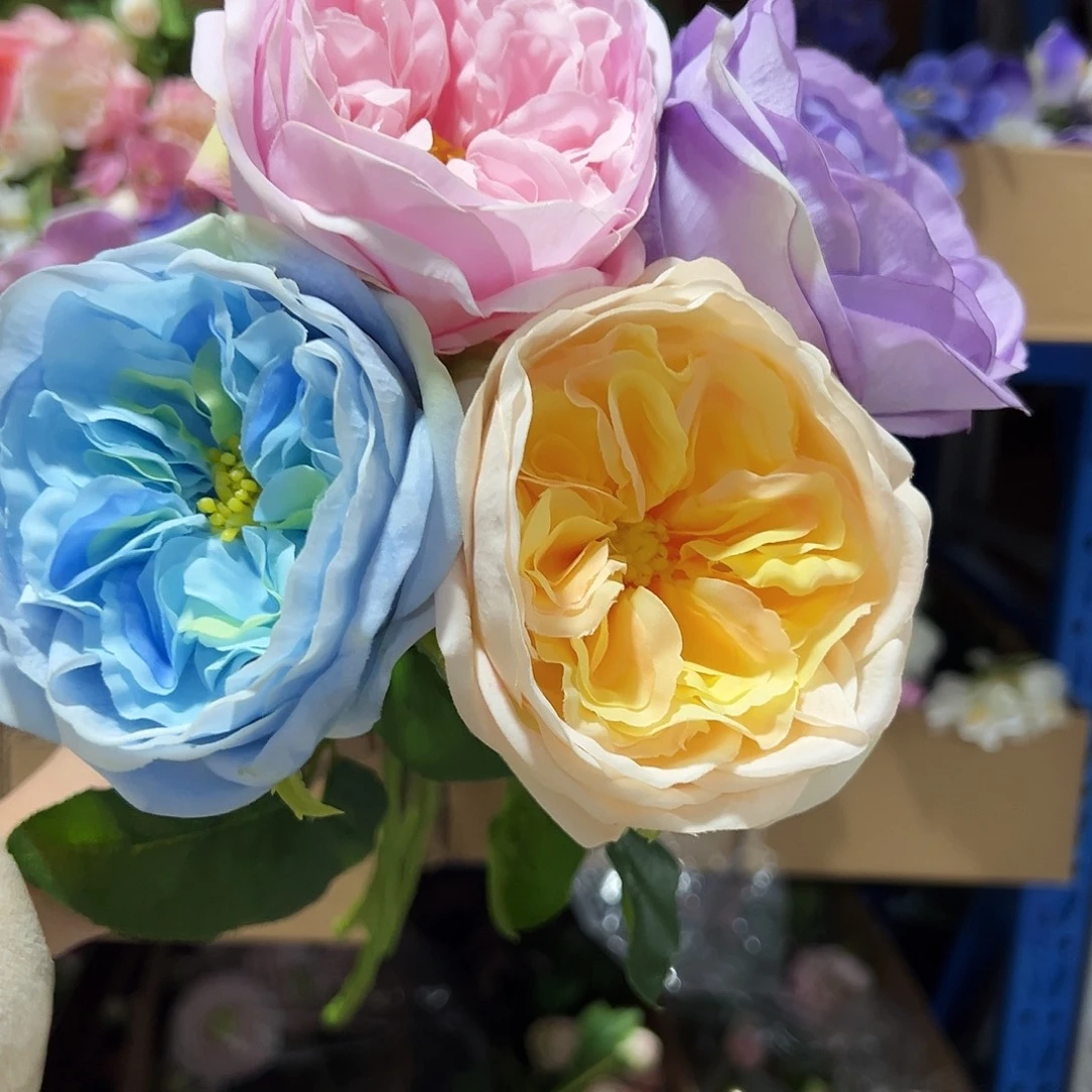 4枝混色手感朱丽叶花。